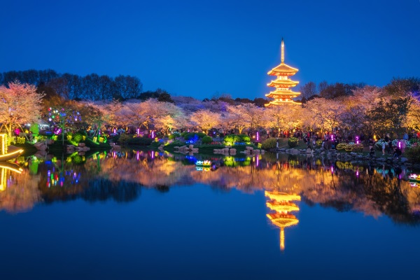 公園植物景觀照明