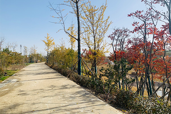 道路亮化前